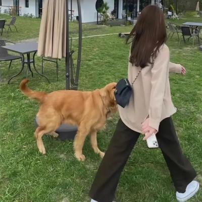 泰版大叔的爱