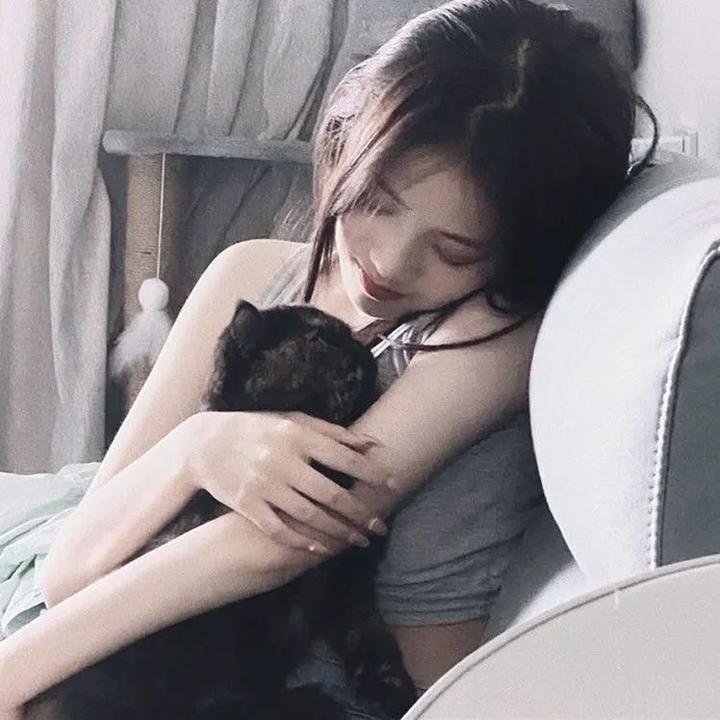 七界第一仙